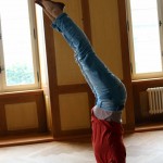 140603 hal weiterbildung 6