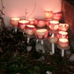 Räbeliechtli 2015