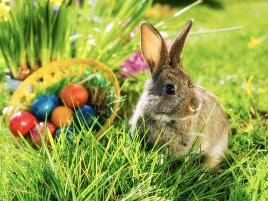 Der Osterhase kommt ins Familienzentrum