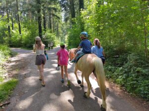 Regenbogenpony juni2025 04