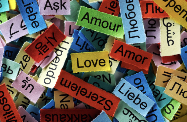 <em>Wie können Eltern ihr Kind beim Lernen von zwei oder mehr Sprachen unterstützen?</em>

Bei dem Kurs geht es darum, in mehreren Terminen zu lernen, wie man die Kinder im Erwerb der Sprache / der Sprachen unterstützt und dabei miteinander in den Austausch zukommen.

<strong>Frühe Sprachförderung zu Hause</strong>

Im Heidelberger Elterntraining zur frühen Sprachförderung (HET) erfahren Sie, wie Sie Ihr Kind im Spracherwerb gut unterstützen können.

Termin(-vorschlag): Start 27.10.2026 - Folgetermine werden gemeinsam mit den teilnehmenden Eltern vereinbart.

<img class="aligncenter wp-image-37245 size-full" src="https://familienzentrum-bezirk-affoltern.ch/wp-content/uploads/2026/09/Screenshot-2026-09-14-at-22.42.38.png" alt="Screenshot 2026 09 14 at 22.42.38" width="612" height="398" />